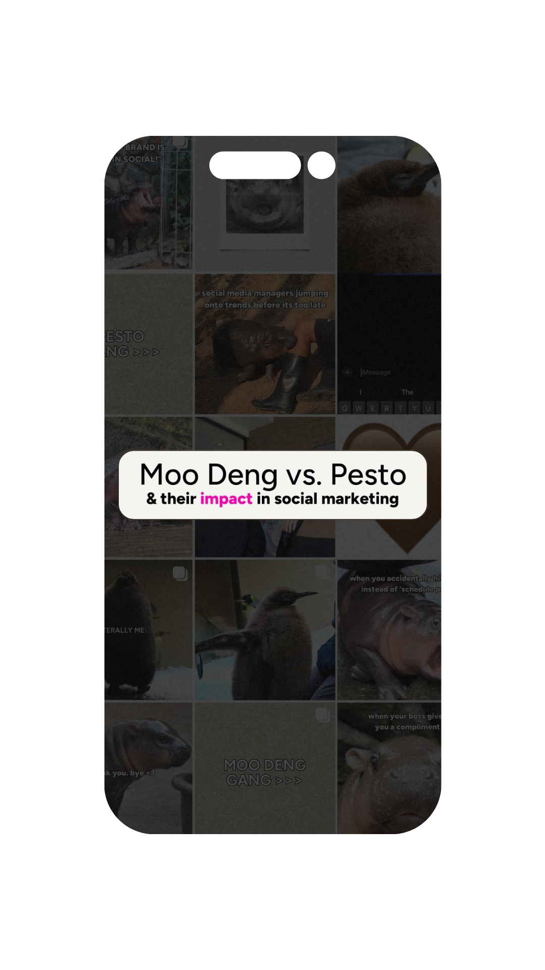 Jamiee-Moo-Deng
