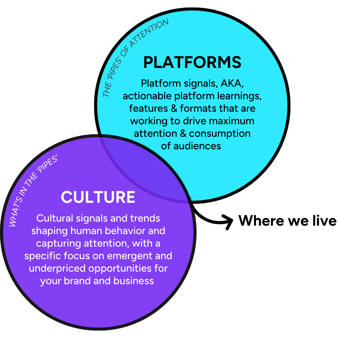 culture-2